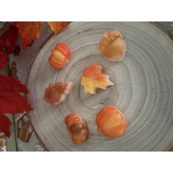 fondants parfumés poudre de cacao