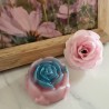 Fondant parfumé - Rose sauvage