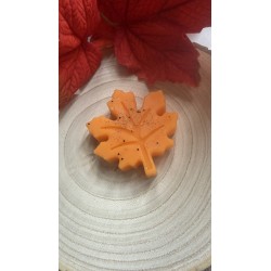 Créa By Yasmine - Fondant parfumé pomme cannelle