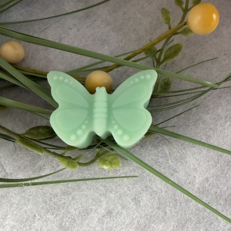 🌿 Fondant Parfumé – Aloe Vera