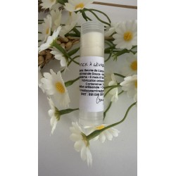 Stick à Lèvres Miel Cacao Naturel | Soin Lèvres Bio