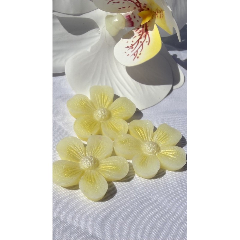 Fondant Parfumé Mimosa | Cire à Fondre Florale Ensoleillée | creabyyasmine