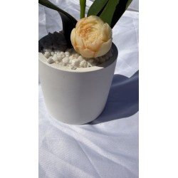 fondant parfumé fleur d'oranger