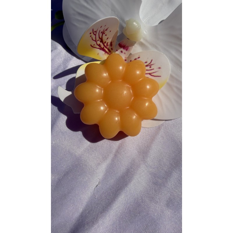 fondant parfumé mangue papaye