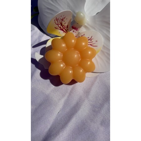 fondant parfumé mangue papaye