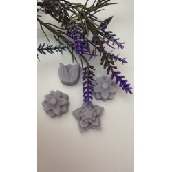 coffrets fondants parfumés lavande