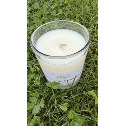 Bougie citronnelle et géranium