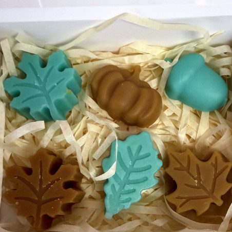 Coffret 6 fondants parfumés — Chocolat Pistache